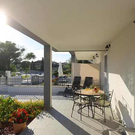 Pavle's * זאדאר